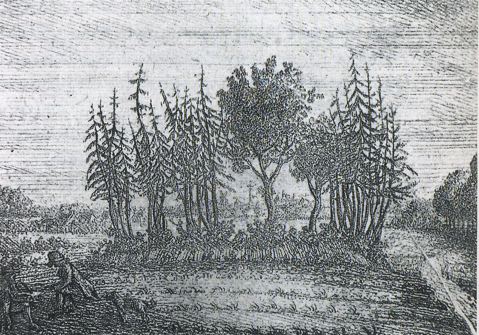 Auf dem Stich von Conrad Bernhard Meyer aus dem Jahr 1796 ist zu sehen, wie der Upstalsboom noch spärlich bewaldet war. Lediglich auf dem Hügel stehen ein paar Bäumchen. Die Landschaft drumherum ist von niedrigem Bewuchs.