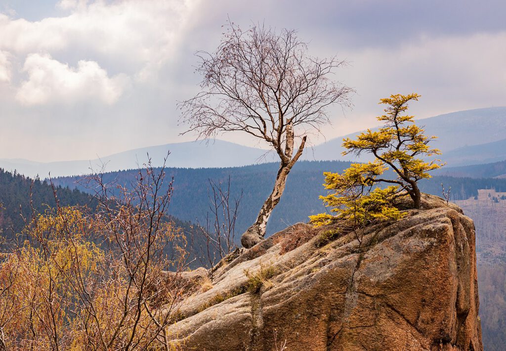 Die Rabenklippe bei Bad Harzburg, ein markanter Felsvorsprung mit beeindruckender Aussicht. Umgeben von dichtem Wald bietet die Klippe eine malerische Kulisse und ein beliebtes Wanderziel im Harz.