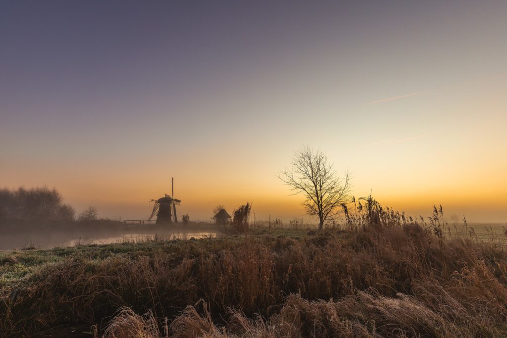 Ein malerischer Sonnenaufgang über einer winterlichen Landschaft mit einer historischen Windmühle im Hintergrund. Im Vordergrund sind frostbedeckte Gräser und Schilf zu sehen, während ein kahler Baum die Szenerie ergänzt. Der Himmel wechselt von tiefem Blau zu warmem Orange und Gelb, und die dunstige Atmosphäre verleiht der Szene eine friedliche, verträumte Stimmung