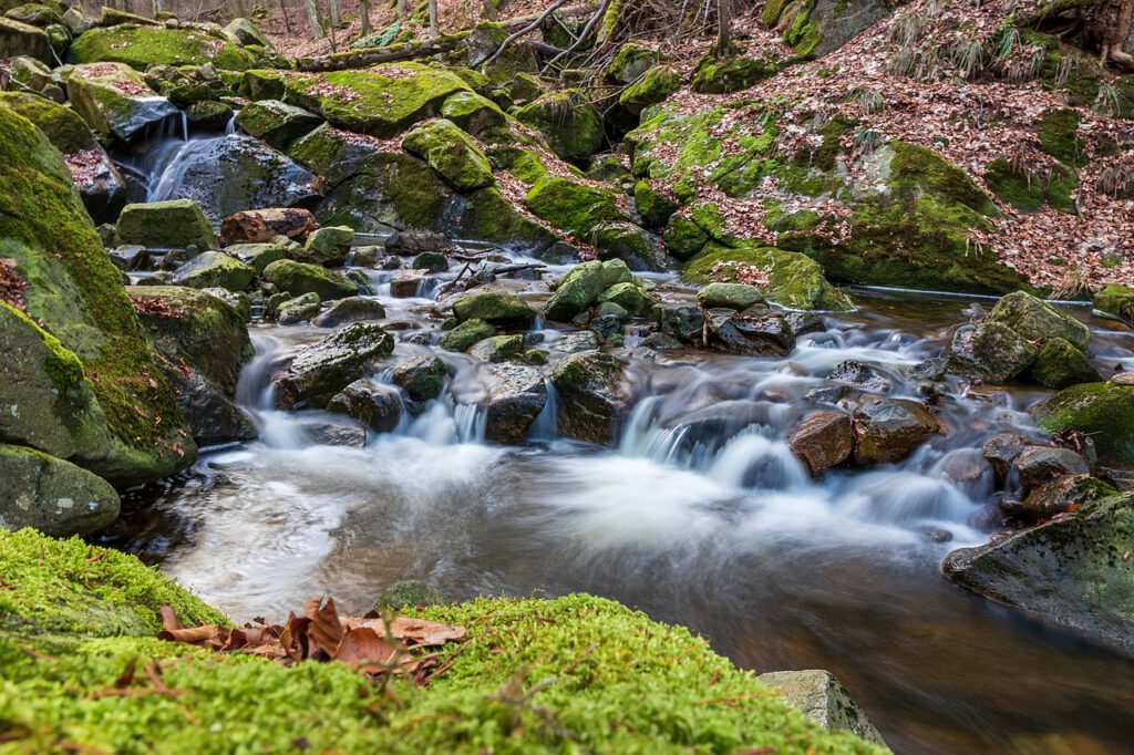 Die Ilsefälle der Ilse im Harz, festgehalten in einer Langzeitbelichtung. Das Wasser fließt sanft und seidig über moosbedeckte Steine, während die herbstliche Vegetation der Szene eine lebendige, natürliche Atmosphäre verleiht.