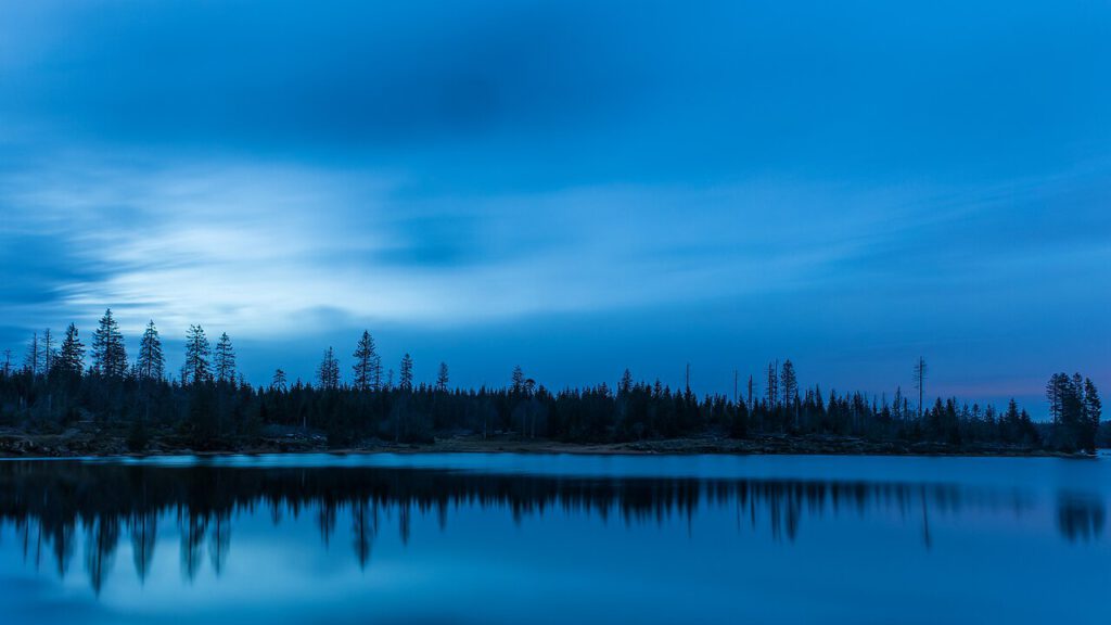 Der Oderteich im Harz während der blauen Stunde. Die Silhouette einer Baumreihe zeichnet sich am Horizont ab und spiegelt sich malerisch im ruhigen Wasser des Teichs. Die Szenerie strahlt eine friedliche und mystische Atmosphäre aus.