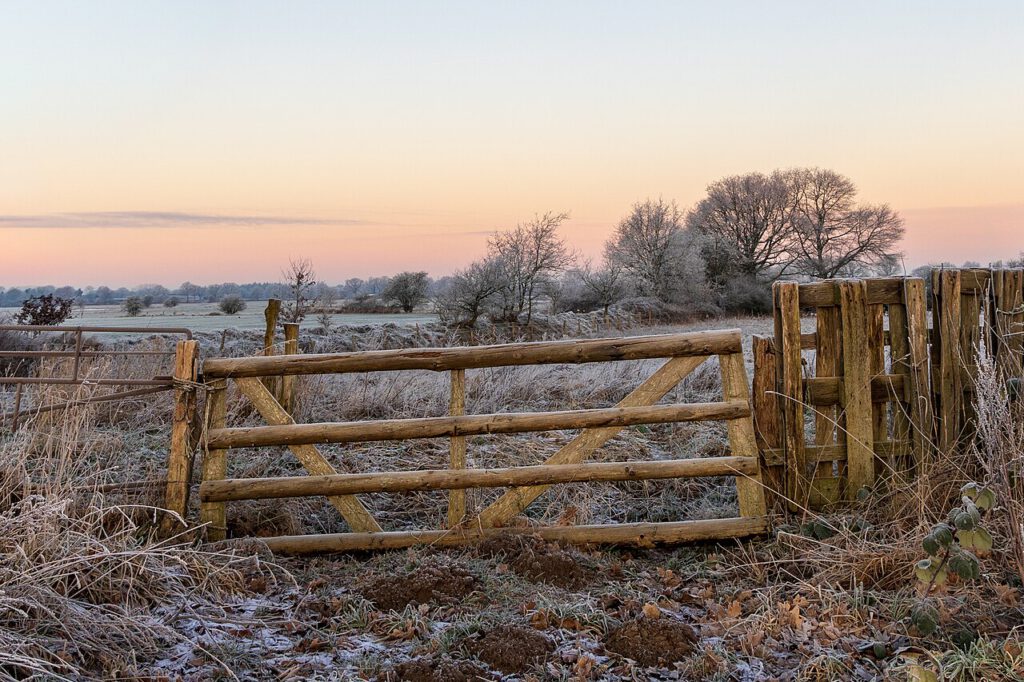 Ein frostiger Wintermorgen mit einem einfachen Holztor im Vordergrund, das einen Zugang zu einer offenen, vereisten Landschaft bietet. Der Himmel zeigt weiche Pastelltöne von Blau und Rosa, während die Vegetation mit einer leichten Frostschicht bedeckt ist. Im Hintergrund sind kahle Bäume und weitläufige Felder zu sehen, die eine friedliche, ländliche Atmosphäre vermitteln.