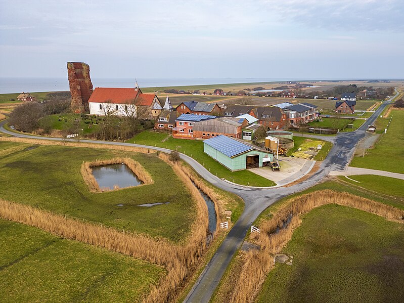 Luftaufnahme der Alten Kirche auf Pellworm mit ihrer markanten Turmruine. Das Dorf mit Bauernhöfen und modernen Gebäuden liegt eingebettet in die weite nordfriesische Landschaft, durchzogen von Wassergräben und Straßen. Im Hintergrund erstreckt sich das Meer bis zum Horizont.