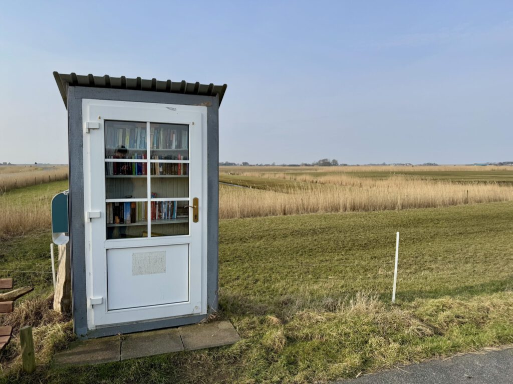 Öffentlicher Bücherschrank in einer umgebauten Telefonzelle mitten in einer ländlichen Landschaft. Die kleine, weiß-graue Holzkonstruktion mit verglaster Tür enthält mehrere Regale mit Büchern. Im Hintergrund erstrecken sich weite Felder mit hohen Gräsern unter einem klaren Himmel.