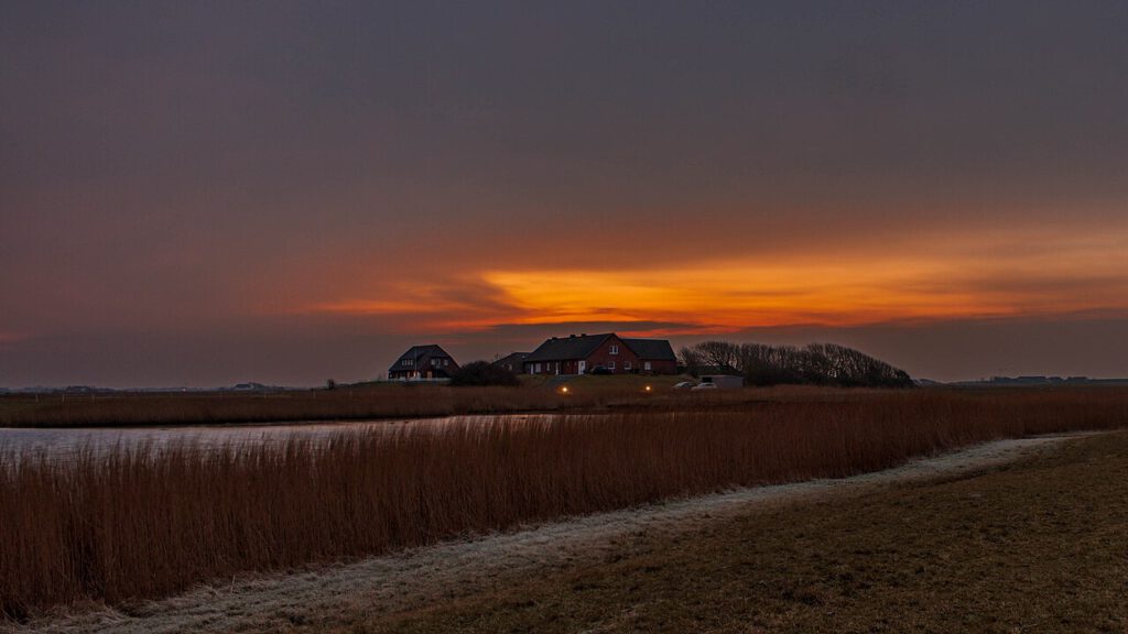 Sonnenaufgang über einer typisch nordfriesischen Landschaft auf Pellworm. Der Himmel leuchtet in warmen Orange- und Rottönen, während im Vordergrund eine von Reetgras umgebene Wasserfläche und ein mit Raureif bedeckter Weg zu sehen sind. Im Hintergrund stehen rot verklinkerte Häuser auf einer Warft, umgeben von kahlen Bäumen.