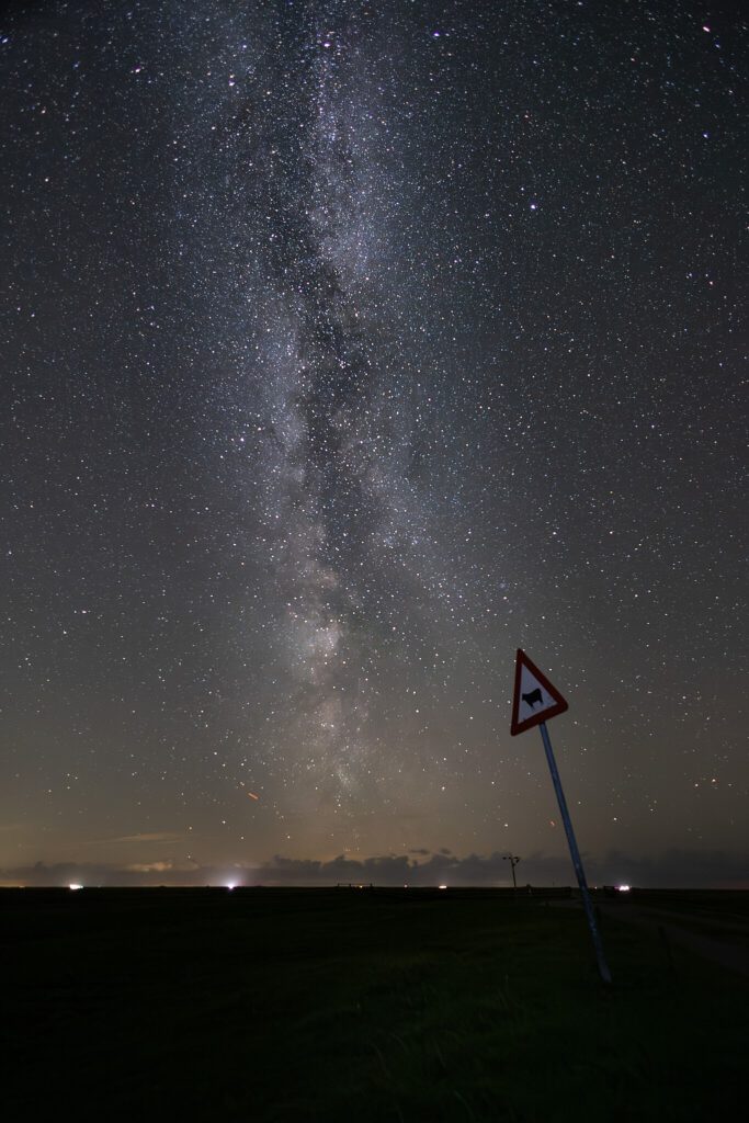 Sternenhimmel mit Milchstraße über einer ländlichen Straße, auf der ein Warnschild für Tiere steht. Die Aufnahme zeigt zahlreiche Sterne und eine klare Nacht.