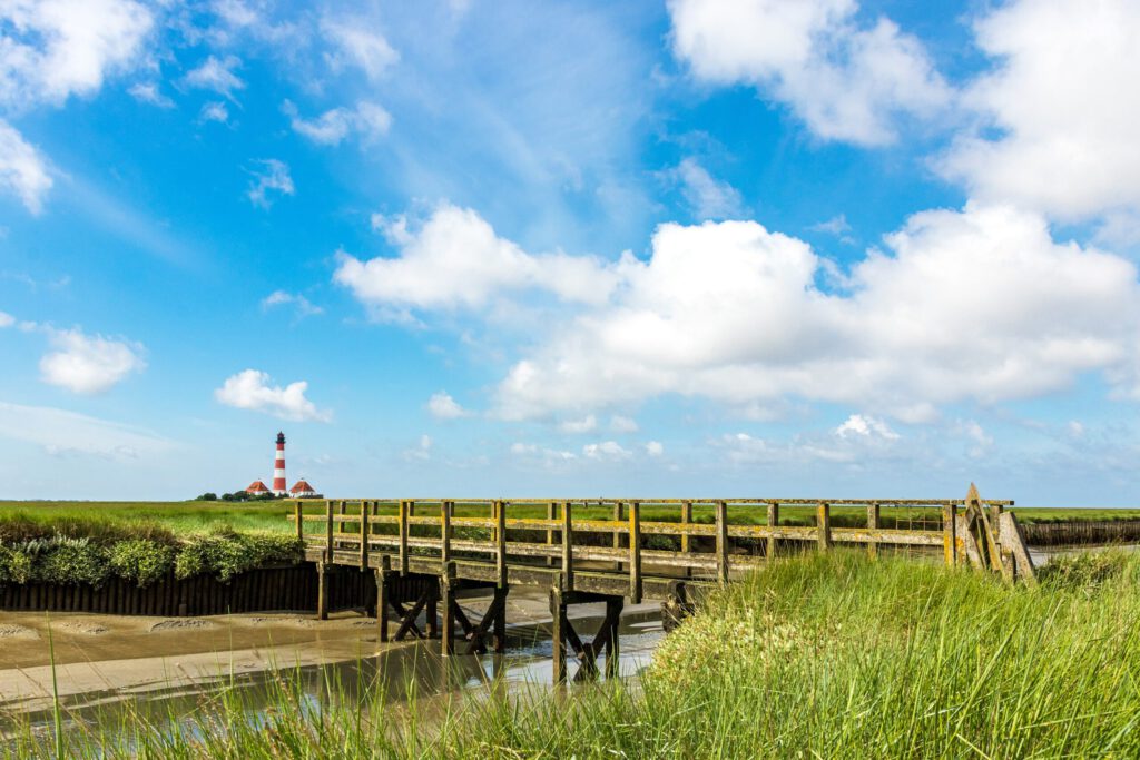 Holzsteg über das Watt mit Blick auf den Leuchtturm von Westerhever, umgeben von grünem Schilf und blauem Himmel.