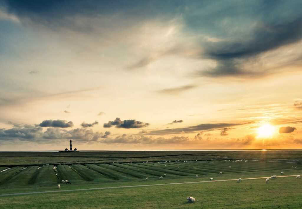 Landschaft mit einem Leuchtturm im Hintergrund, umgeben von weiten Wiesen und Schafen, bei Sonnenuntergang. Der Himmel ist von Wolken durchzogen, was eine malerische Atmosphäre schafft.