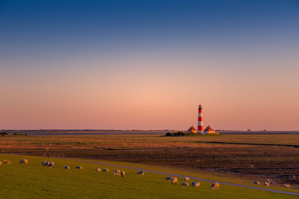 Ein Leuchtturm mit rot-weißer Streifenmuster steht in der Landschaft, umgeben von grünem Wiesenland und Schafen, während der Himmel in sanften Farben der Dämmerung leuchtet.