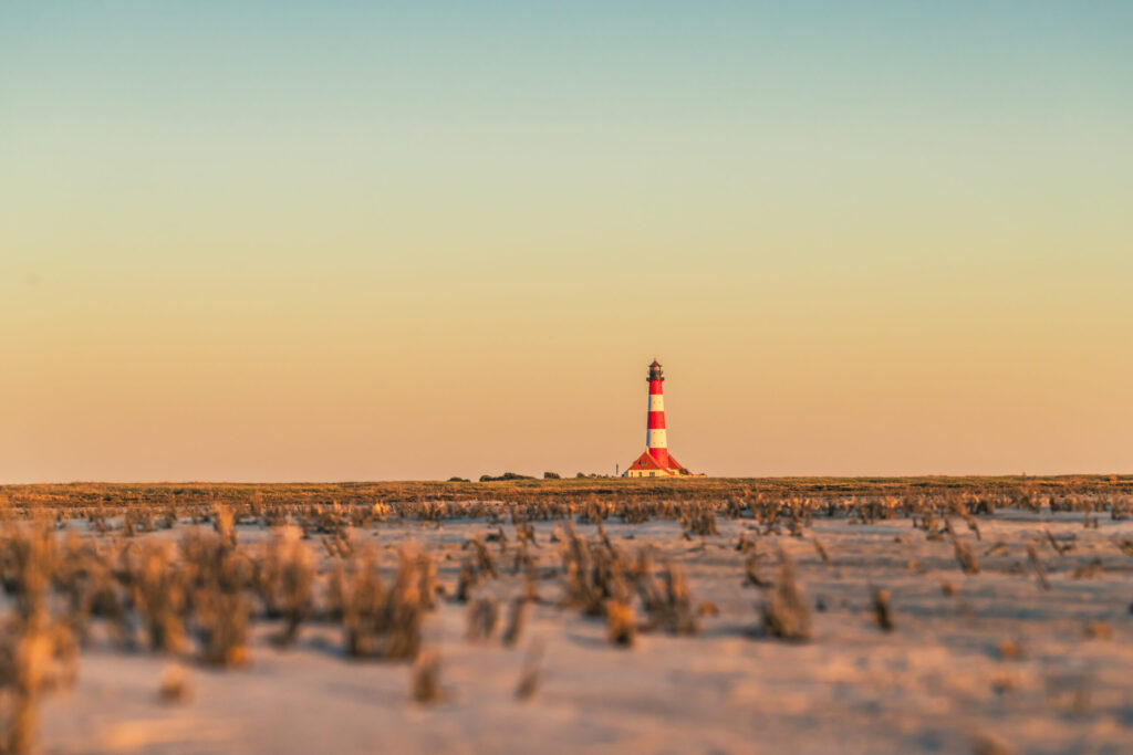 Leuchtturm auf einer weiten, sandigen Landschaft bei Sonnenuntergang, mit grasbewachsenen Flächen im Vordergrund und einem klaren Himmel im Hintergrund.